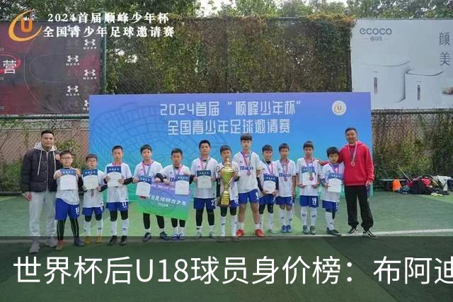 世界杯后U18球员身价榜：布阿迪8000万欧居首，卡尔6000万欧次之