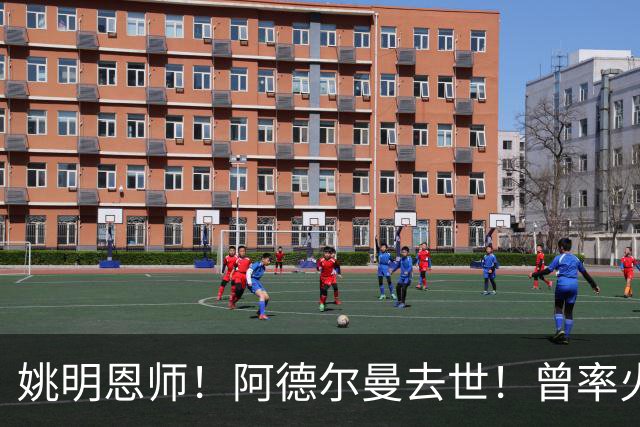 姚明恩师！阿德尔曼去世！曾率火箭22连胜