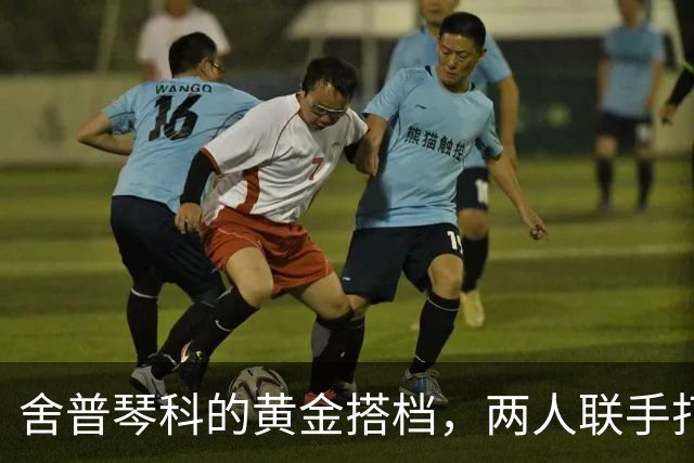 舍普琴科的黄金搭档，两人联手打爆皇马巴萨，却在英超折戟沉沙